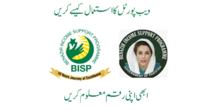 BISP 8171 Web Portal August 2025